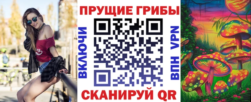 Псилоцибиновые грибы MAGIC MUSHROOMS Богучар